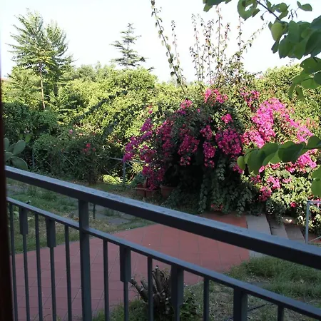 Gli Aranci Dell'etna Mascali