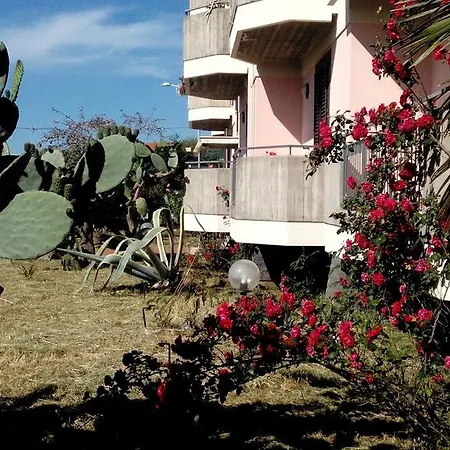 Gli Aranci Dell'etna *