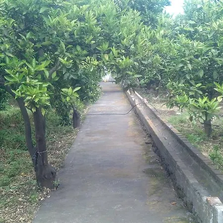 Gli Aranci Dell'etna Mascali