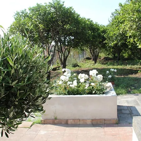 Gli Aranci Dell'etna Casa vacanze *