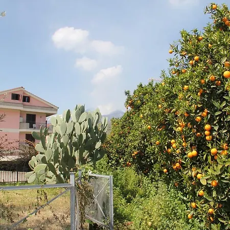 Gli Aranci Dell'etna Casa vacanze *