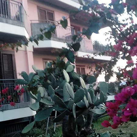 Gli Aranci Dell'etna *